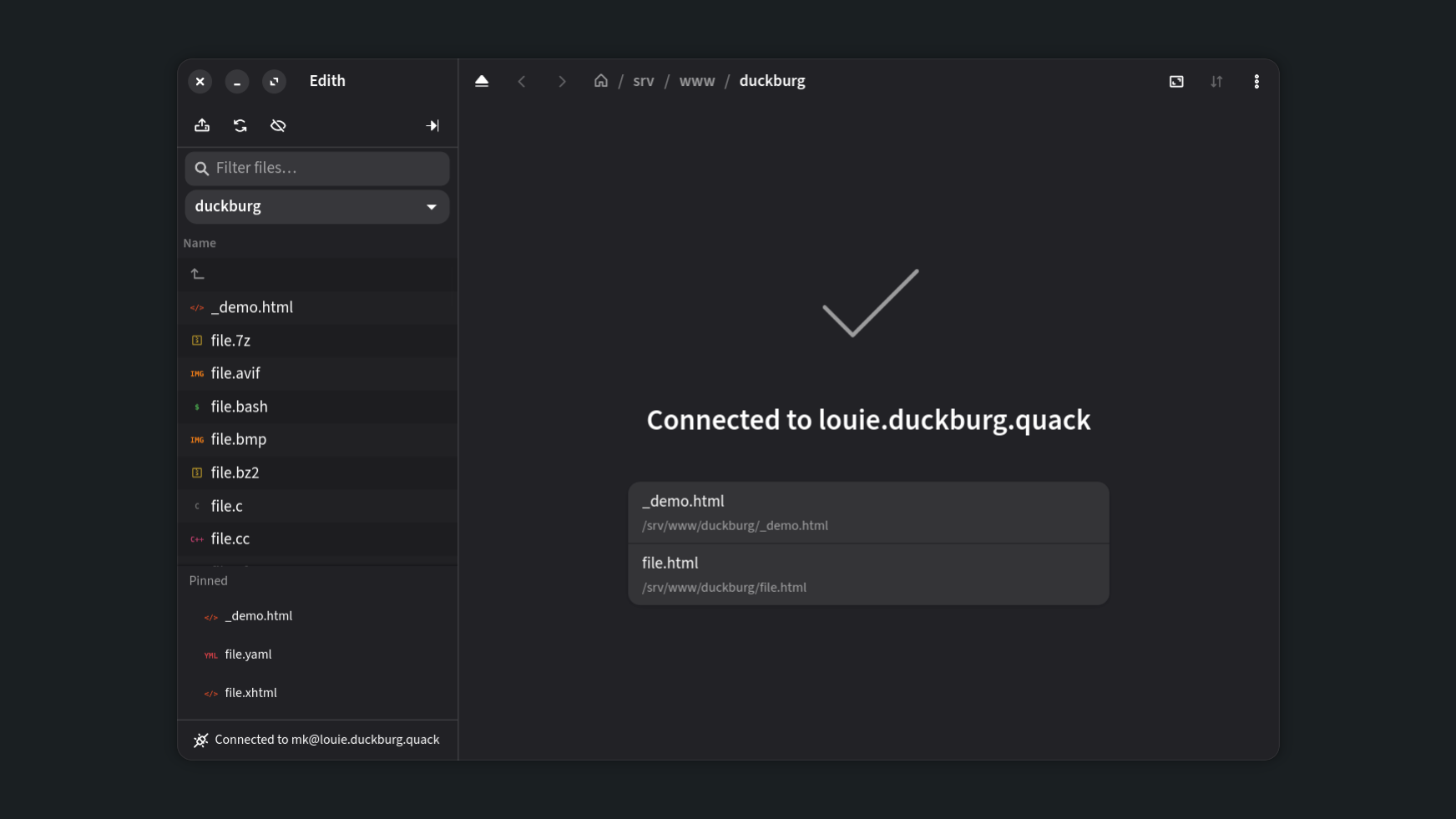 Edith connected to a remote server: a file listing with pinned files beside a list of recently opened files.